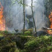Ochrana lesov a prírody pred požiarmi 1