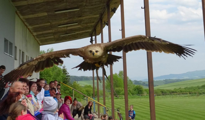 2. fotografia fotogalérie Sokoliari medzi deťmi
